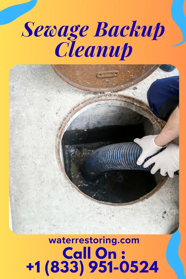 Sewage Backup Cleanup in Morning Sun, IA